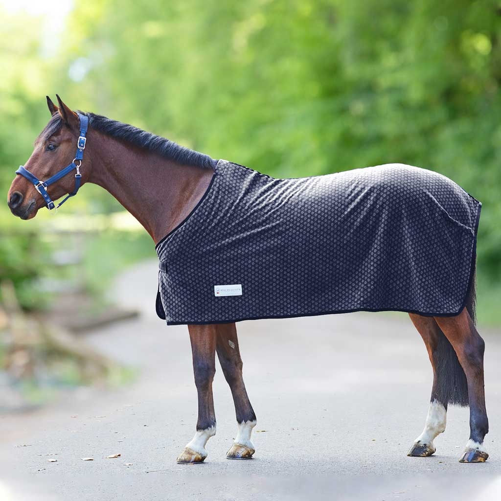 Waldhausen Fleecedecke Silver Hearts