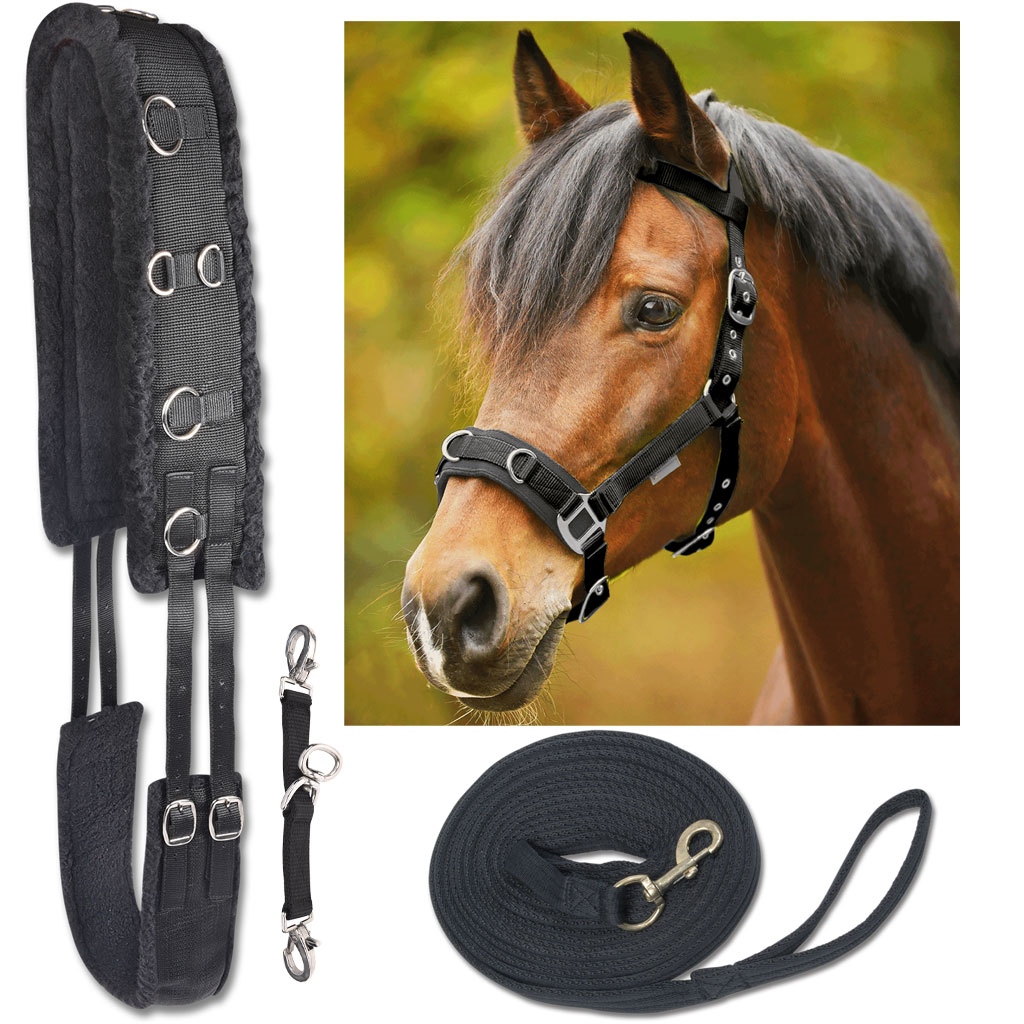 Waldhausen Longierset Economic mit Longiergurt, Longe, Kappzaum & Longierbrille