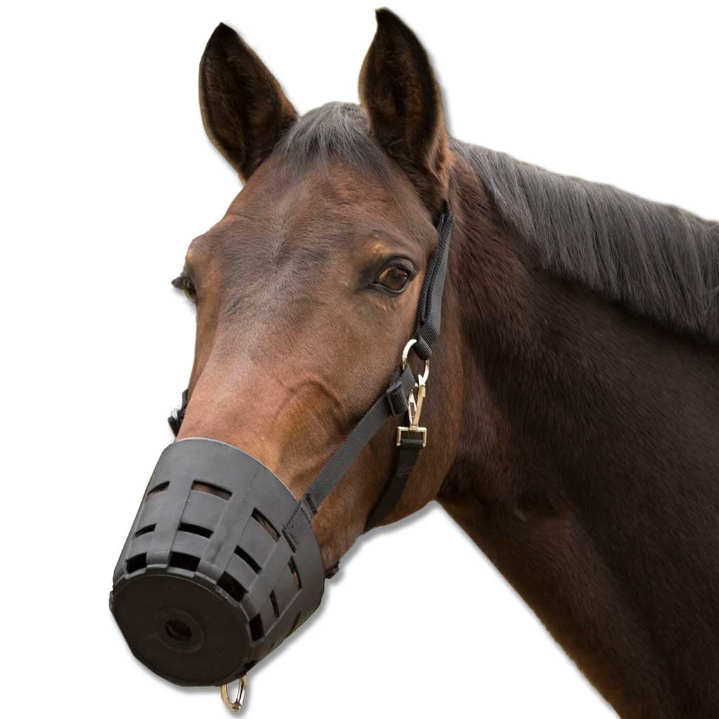 Waldhausen TPU Maulkorb EasyClean