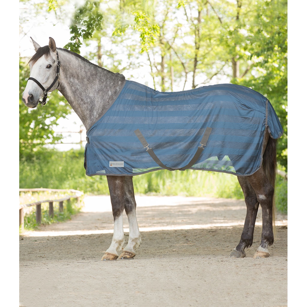 Fliegendecke Economic Kreuzgurt