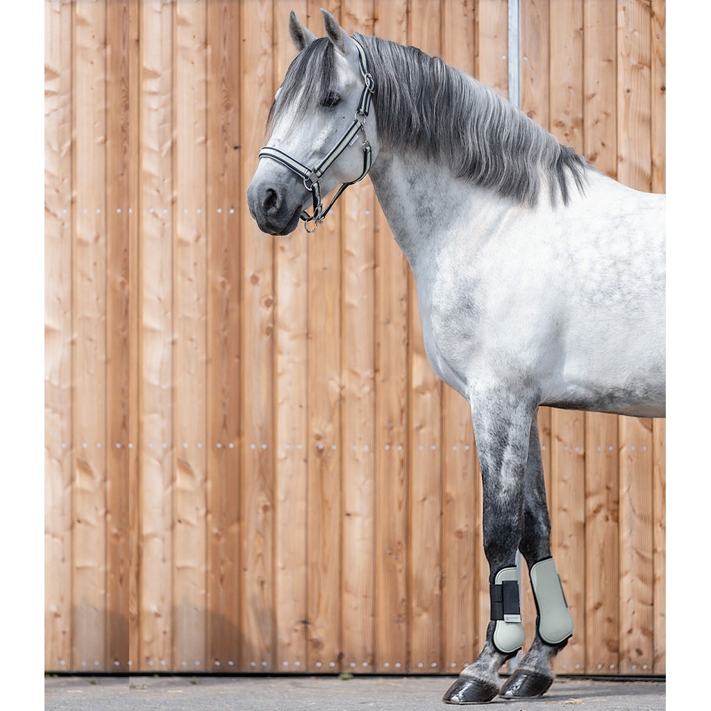 Waldhausen Sehnenschoner Basic Season