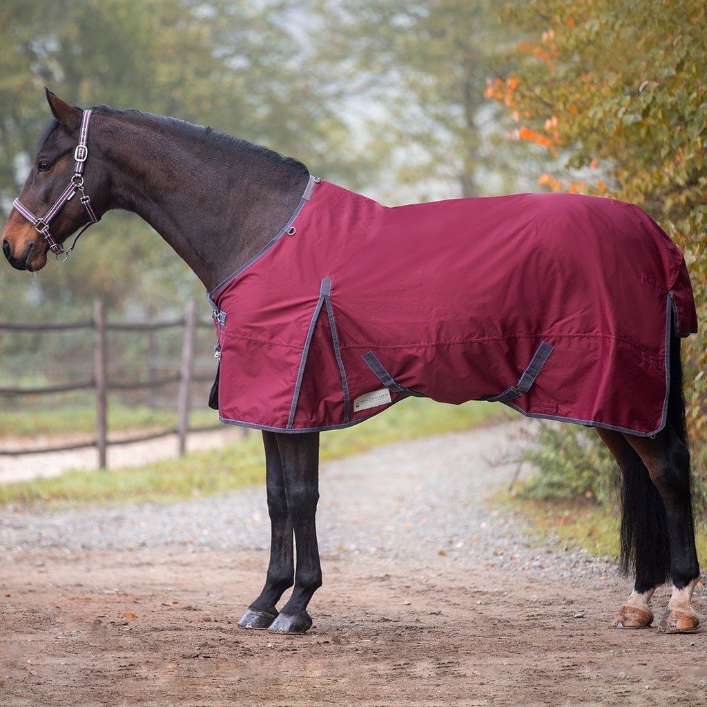 Waldhausen Outdoordecke Economic mit Fleecefutter