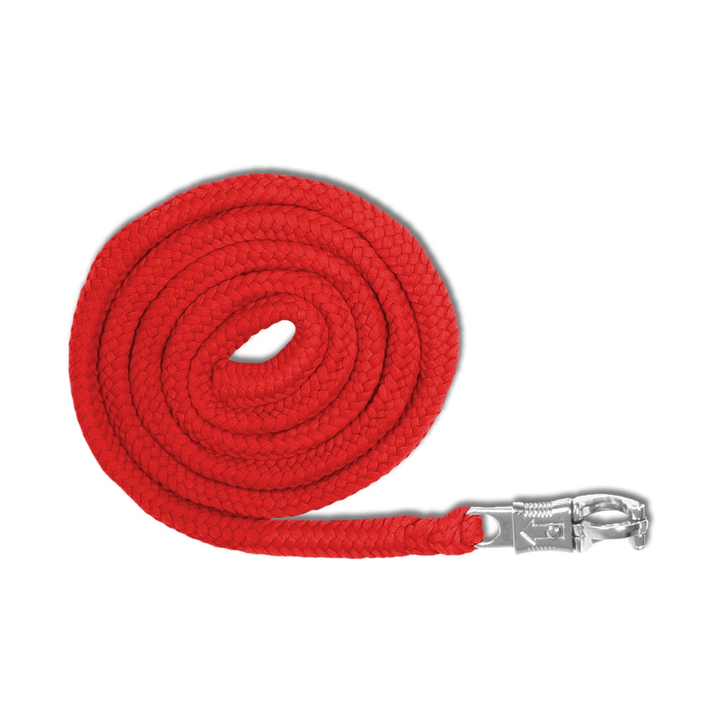 Carly Capples Halfter & Strick Economic