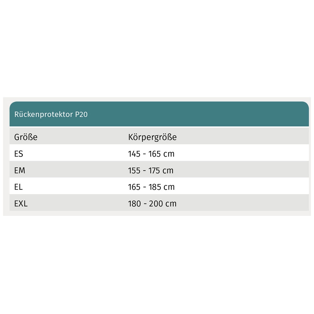 Swing Rückenprotektor P20 Erwachsene