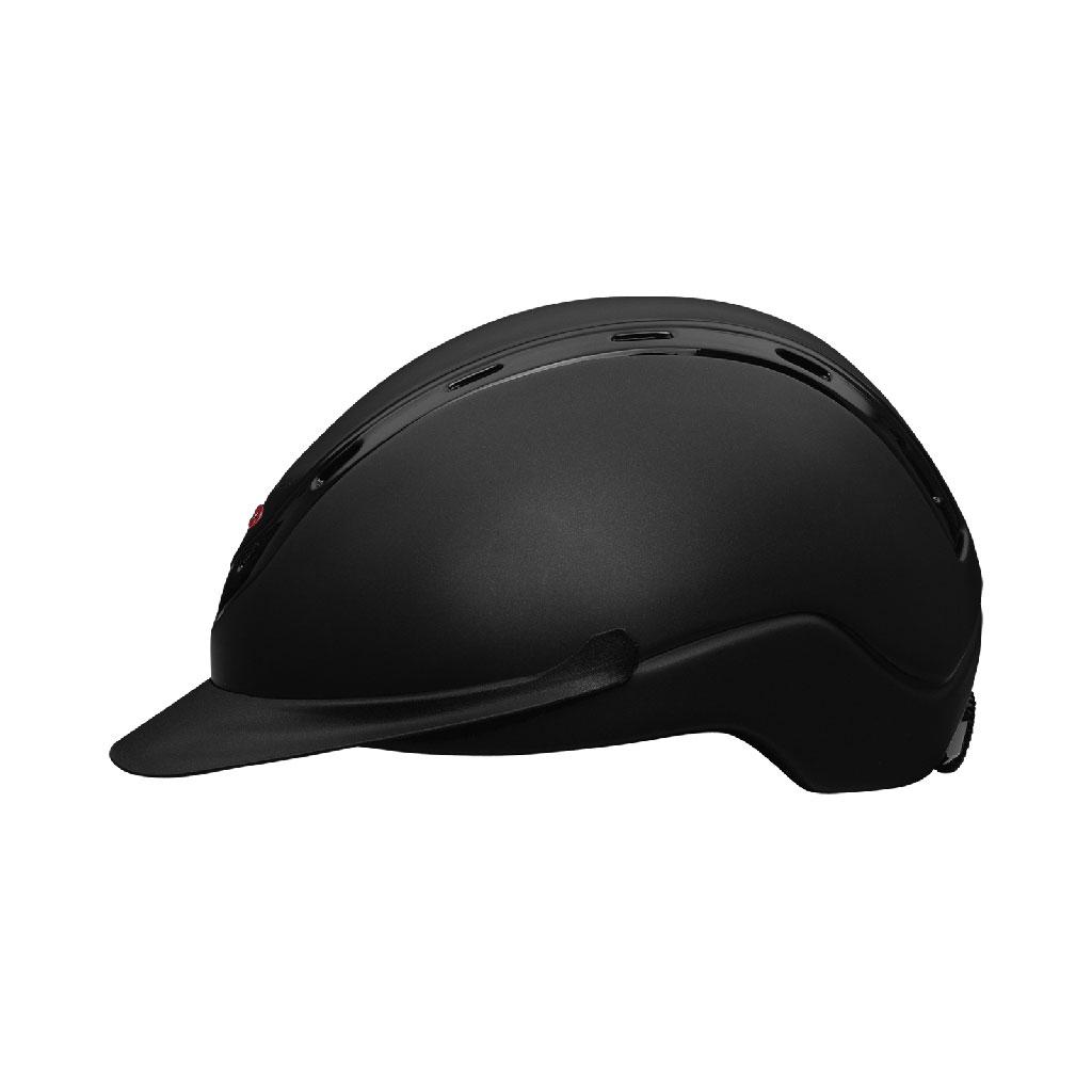 Waldhausen SWING Reithelm H19