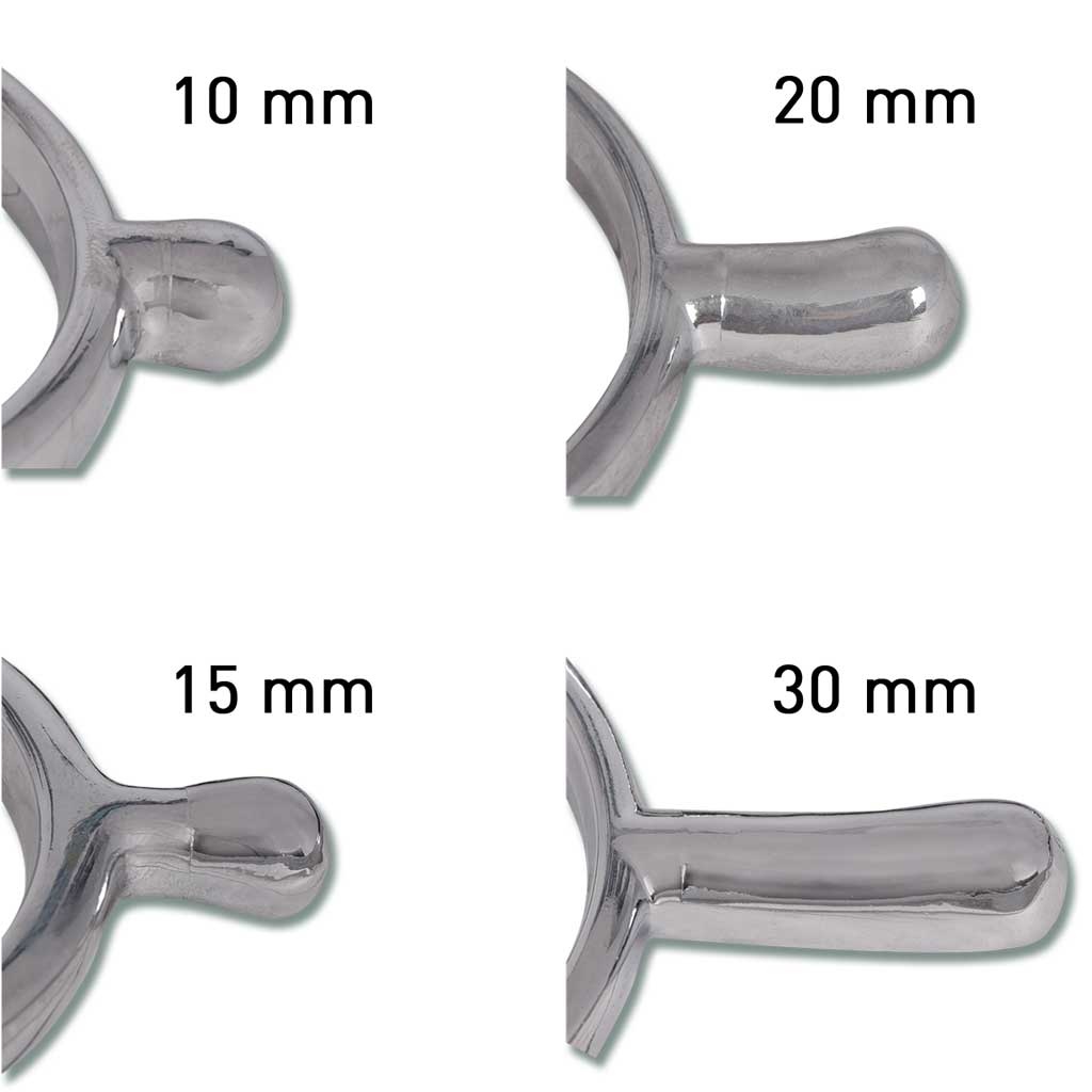 Waldhausen Sporen Crystal + Perlonriemen