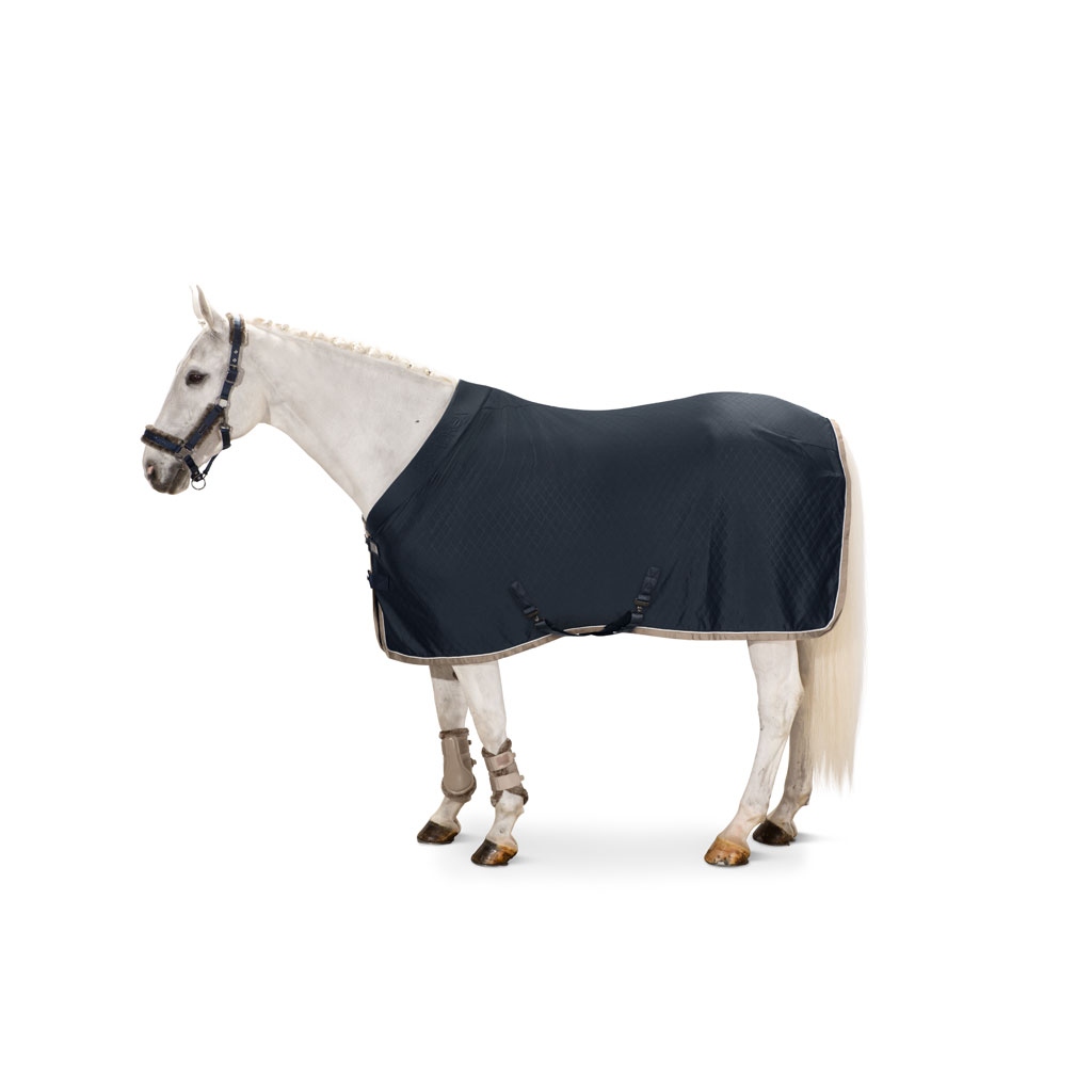 Eskadron Abschwitzdecke Aerial Jersey