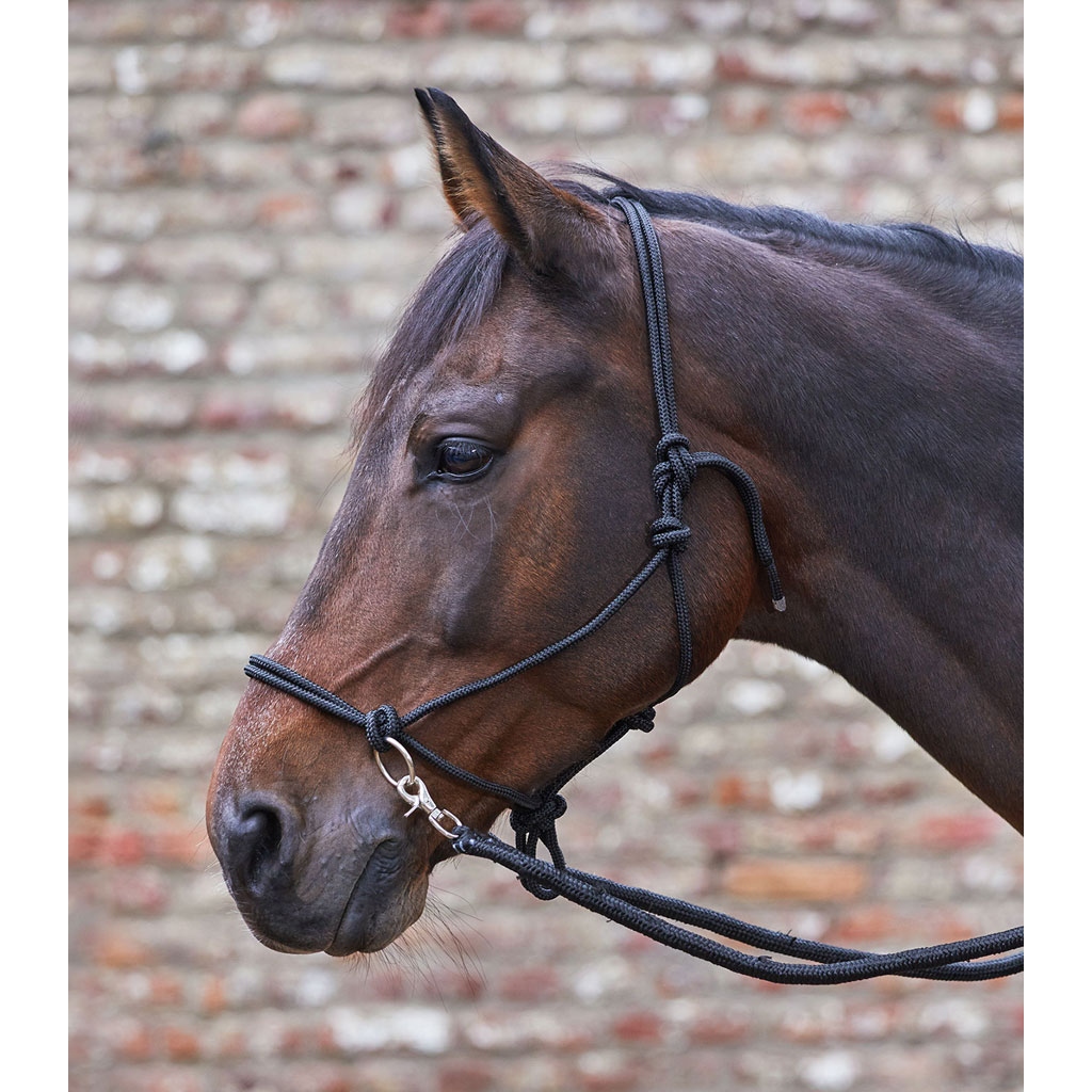 Waldhausen Knotenhalfter mit Zügel