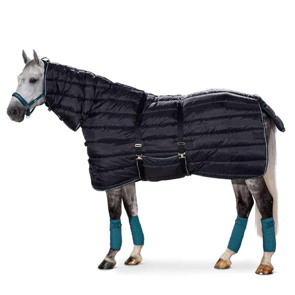 Eskadron Stalldecke Nylon mit Hals HW19