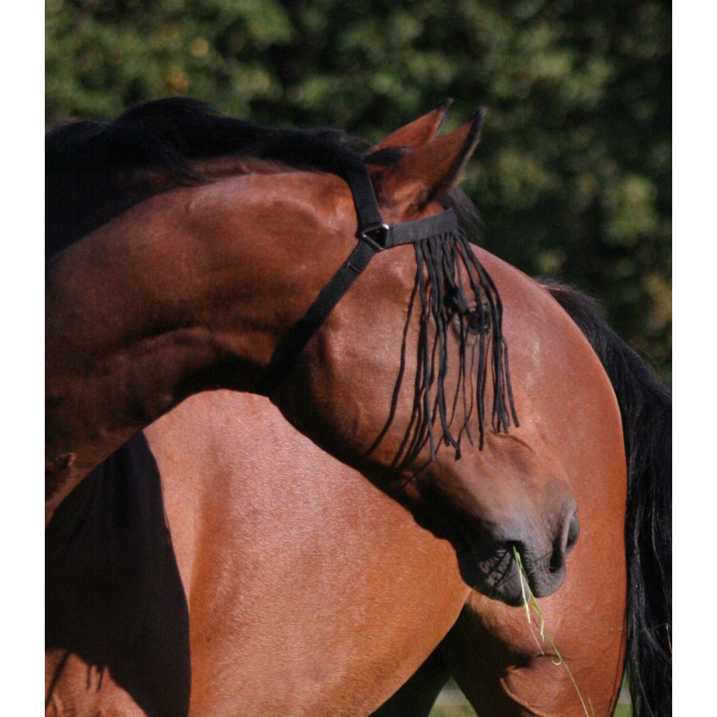 Waldhausen Fliegenfransen mit Kopfteil